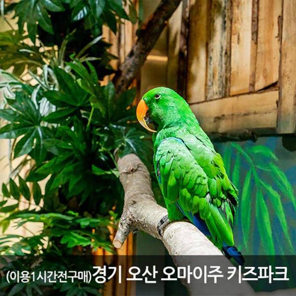 오산 오마이쥬 키즈파크