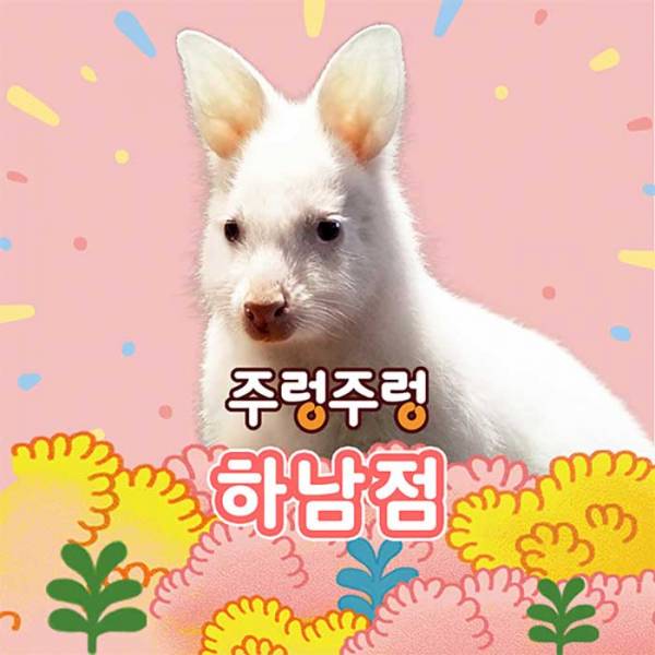 주렁주렁 실내 동물원(하남점)
