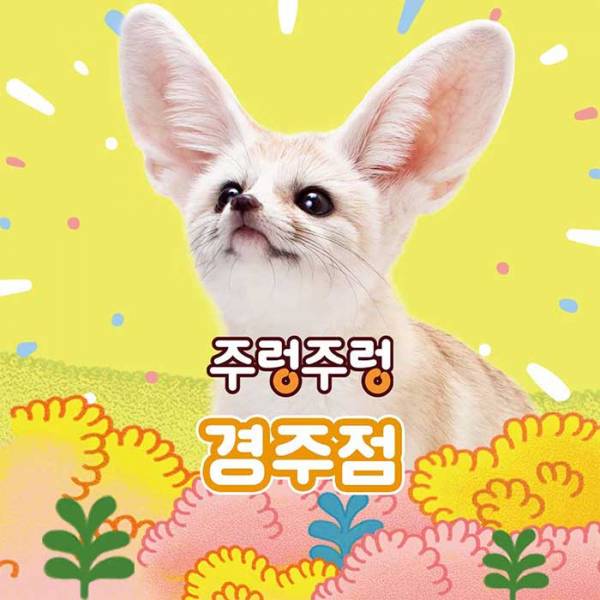 주렁주렁 실내 동물원(경주점)
