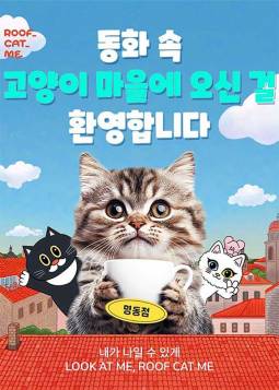 루프캣미 실내 고양이카페(명동)