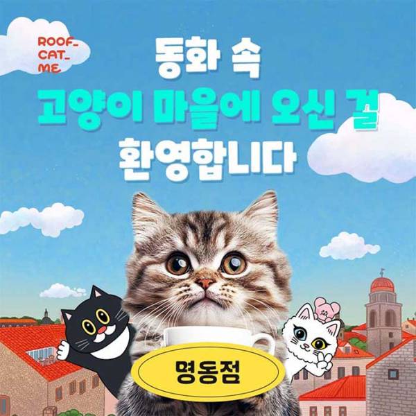 루프캣미 실내 고양이카페(명동)