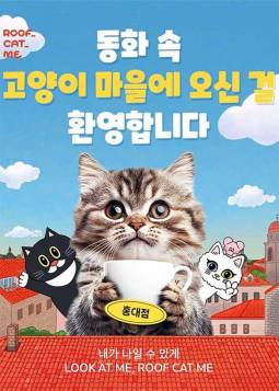 루프캣미 실내 고양이카페(홍대)