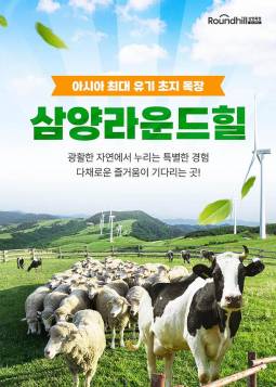 대관령 삼양라운드힐(평창)
