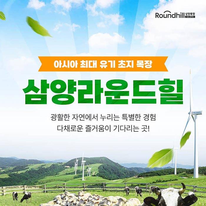 대관령 삼양라운드힐(평창)
