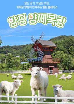 양평 양떼목장
