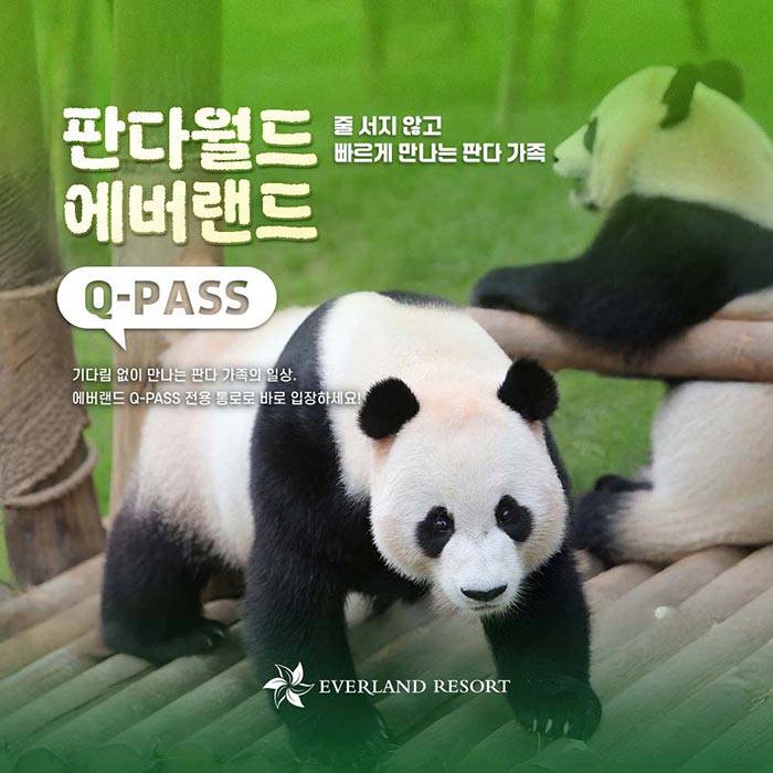 에버랜드 판다월드 Q-PASS