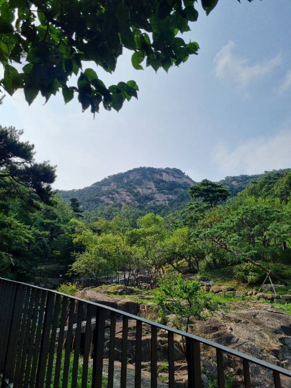 후기 이미지