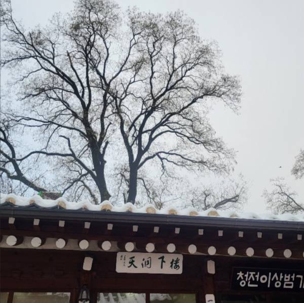 후기 이미지